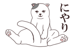 Moving!Strange pose cat sticker #11866604