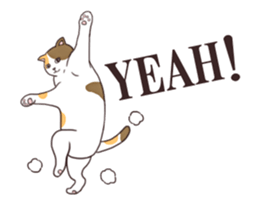 Moving!Strange pose cat sticker #11866606