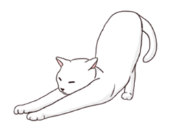 Moving!Strange pose cat sticker #11866610