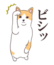 Moving!Strange pose cat sticker #11866611