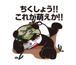 The panda sergeant who crosses TSUNDERE sticker #11868327