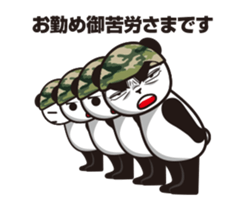 The panda sergeant who crosses TSUNDERE sticker #11868332