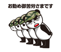 The panda sergeant who crosses TSUNDERE sticker #11868332