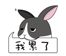 Ferocious rabbit sticker #11869217