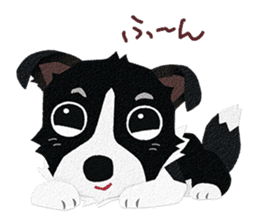 Border collie Botaro 3 sticker #11873114