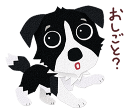 Border collie Botaro 3 sticker #11873116