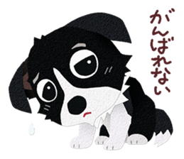 Border collie Botaro 3 sticker #11873132