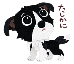 Border collie Botaro 3 sticker #11873133