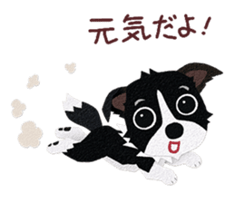 Border collie Botaro 3 sticker #11873140