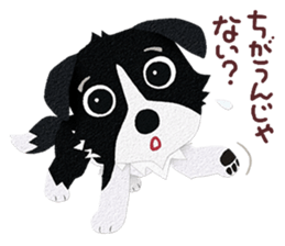 Border collie Botaro 3 sticker #11873142