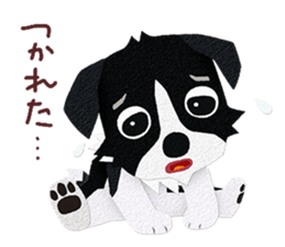 Border collie Botaro 3 sticker #11873147