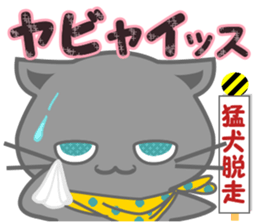 It begins to a cat and ends in RAY.2 sticker #11873783