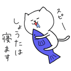 The Pretty White Cat