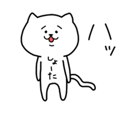 The Pretty White Cat sticker #11874228