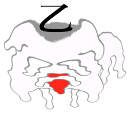 Onyan Funky Sticker No.8 !!! sticker #11876176