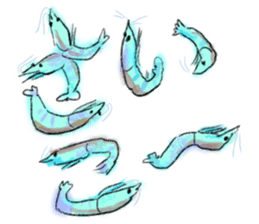 Summer of shrimp sticker #11877336