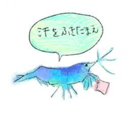 Summer of shrimp sticker #11877340