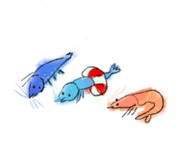 Summer of shrimp sticker #11877343