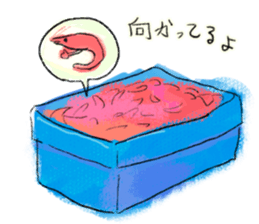 Summer of shrimp sticker #11877348