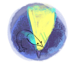 Summer of shrimp sticker #11877354