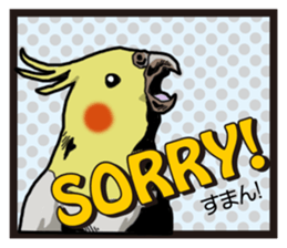 Cockatiel P-chan American comic style sticker #11878977