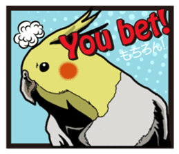 Cockatiel P-chan American comic style sticker #11878982