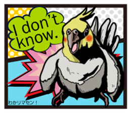 Cockatiel P-chan American comic style sticker #11878991