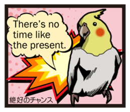 Cockatiel P-chan American comic style sticker #11878996