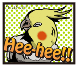 Cockatiel P-chan American comic style sticker #11879000