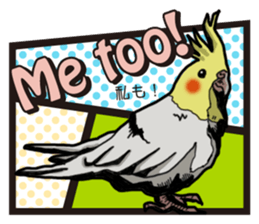 Cockatiel P-chan American comic style sticker #11879001