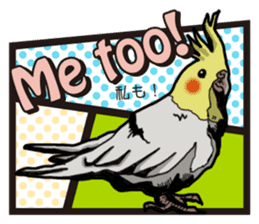Cockatiel P-chan American comic style sticker #11879001
