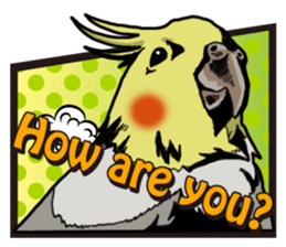 Cockatiel P-chan American comic style sticker #11879002