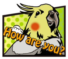 Cockatiel P-chan American comic style sticker #11879002