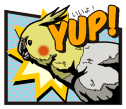 Cockatiel P-chan American comic style sticker #11879005