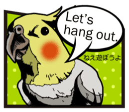 Cockatiel P-chan American comic style sticker #11879007