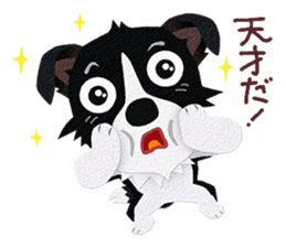 Border collie Botaro 4 sticker #11880084