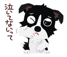 Border collie Botaro 4 sticker #11880090