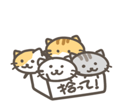 with cat Sticker sticker #11880478