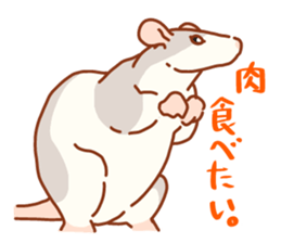 FancyRat sticker #11881636