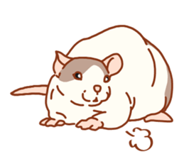 FancyRat sticker #11881637