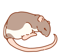 FancyRat sticker #11881648