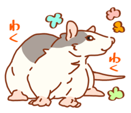 FancyRat sticker #11881656