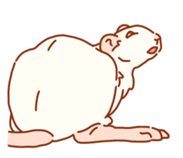 FancyRat sticker #11881664