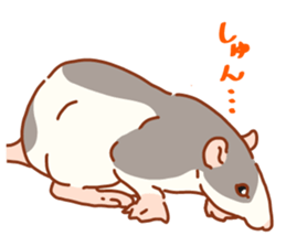 FancyRat sticker #11881665