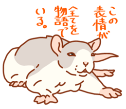 FancyRat sticker #11881669