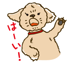 PIGPONG's Toy Poodle Hanako sticker #11882776