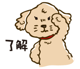PIGPONG's Toy Poodle Hanako sticker #11882777
