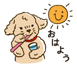 PIGPONG's Toy Poodle Hanako sticker #11882778