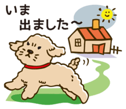 PIGPONG's Toy Poodle Hanako sticker #11882779