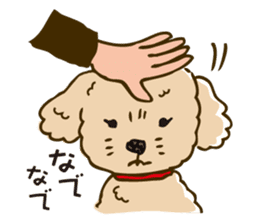 PIGPONG's Toy Poodle Hanako sticker #11882781